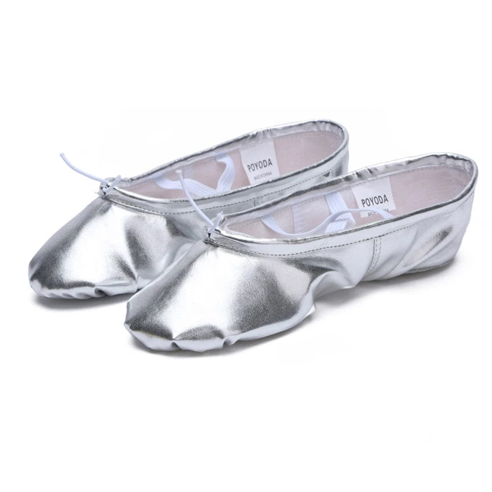 chausson pour gymnastique Silver / 41
